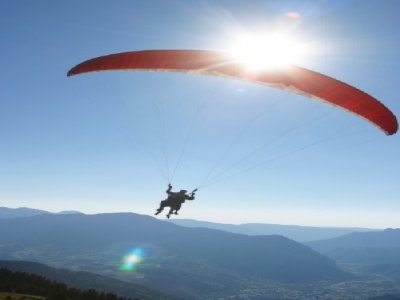 Les Volatiles 